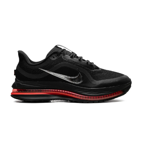 Nike air zoom pugasus premium
