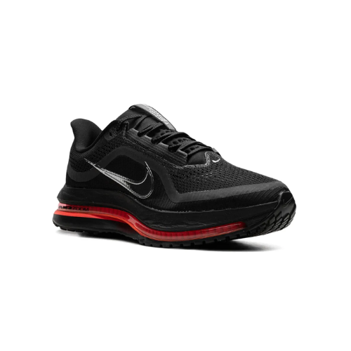 Nike air zoom pugasus premium – Image 2